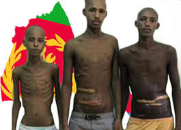 Image result for eritrean