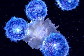 Lack of Crucial Immune Cells in Unresponsive Cancer Patients: Washington University School of Medicine Study