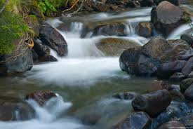 Image result for photo of a river free