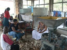 Image result for garri processing