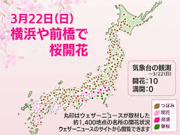 今日の桜開花状況 3月22日(日) 桜前線が横浜や前橋に 今週は開花ラッシュへ