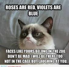 overconfidence quotes and animal pics - Google Search | funny ... via Relatably.com