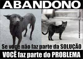 Muitas pessoas adotam animais sem buscar informações sobre a raça e como ele deve ser cuidado. Quando os cuidados e custos são percebidos, esses animais são abandonados. Então, como consequência disso, o Centro de Zoonoses recebe constantemente ligações de tutores de animais domésticos com reclamações de doenças e pedindo o seu recolhimento.  “Não realizamos o recolhimento em domicílio, aconselhamos que o tutor trate de seu animal. O ideal seria que, antes de adquirir um animal doméstico, o tutor buscasse informações de que tamanho ele pode ficar, custos e cuidados veterinários. Assim, ele será adquirido conscientemente e o perigo de ser abandonado é menor”, explica a médica veterinária e Gerente do Centro de Zoonoses, Oriana Bezerra.  O Centro de Zoonoses de Teresina, responsável pelo controle de doenças transmitidas por animais, recebe cerca de 15 animais abandonados por dia. Esses animais recolhidos pelas carrocinhas ficam 48h no centro a espera do tutor e são examinados e vacinados, quando resgatados. Quando não, o animal é morto.  É comum que tutores soltem seus animais para que eles possam passear e voltar para casa, mas nem sempre eles voltam. Quando isso acontece o animal pode adquirir várias doenças como a raiva e a leishmaniose. “O animal com raiva perde a noção de ambiente e fica vagando por aí. Mas se ele volta pra casa, pode trazer junto com ele doenças e carrapatos”, completa Oriana Bezerra, opinando que “o importante e melhor não é criar um espaço maior para abrigá-los, mas trabalhar a população para não abandonar esses animais”.  Fonte: Capital Teresina