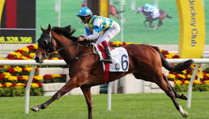 HK Stable Rundown – Part One: ‘We’re looking forward to taking on Romantic 
Warrior’