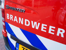Rijnmond - News update