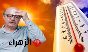 بوابة الزهراء - News update