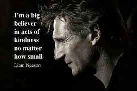 Liam Neeson Quotes. QuotesGram via Relatably.com