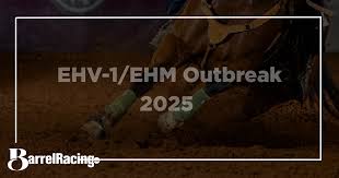 EHV-1 Outbreak in Texas: What Horse Owners Need to Know (2025)