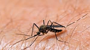 2 more human cases of West Nile virus confirmed in Mass.; risk elevated in 47 communities