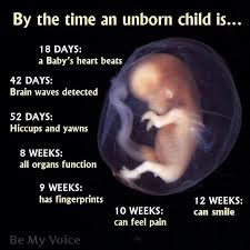 Unborn Baby Quotes. QuotesGram via Relatably.com