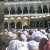 Story image for umroh merdeka paytren from Dream