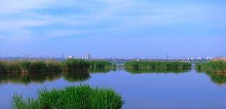 Результат пошуку зображень за запитом "інгул"