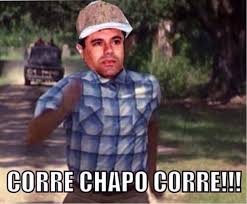 Resultado de imagen para memes chapo