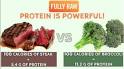Protein 1calories broccoli