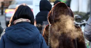 입춘 관련 이미지