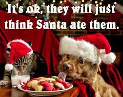 Image result for christmas funnies