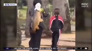 [와글와글] "골칫거리 잡았는데?"‥"하면 안 되는 행동"
