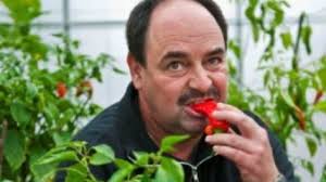 <b>Roland Krebs</b> hat 37 Chili-Sorten in seinem Garten gezüchtet - chili