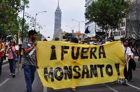 Resultado de imagen para monsanto