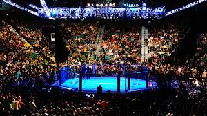 UFC bet types, explained: What to know about MMA fight lines, round props, method of victory, parlays and more