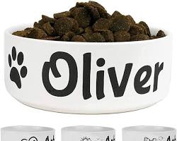 personalized pet food bowl with a pet's name and photoの画像