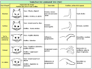 Comprendre le comportement des chats