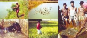 Image result for ehsq nagarjuna group