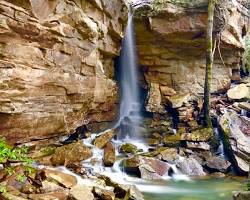 Fern Falls, Pocahontas County WV