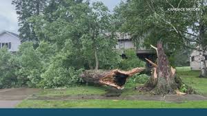 STORM AFTERMATH | Sunday's severe weather causes damage across Northeast Ohio