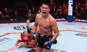 UFC Mexico: Ranking the Top 5 Rising Fighters