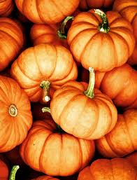 Znalezione obrazy dla zapytania AUTUMN TUMBLR