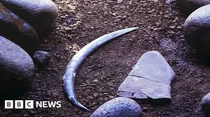 BBC - News update