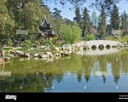 Hình ảnh về traditional Asian garden with a stone bridge and flowing water