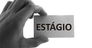 Tribuna Catarinense - News update