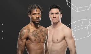 Meta MMA - News update