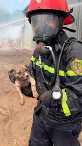 Thử thách hàng ngày của lính cứu hỏa.🥰 Nguồn: Dũng PC | Hội ...