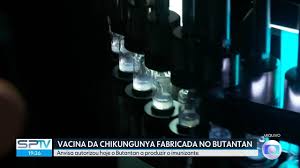 Anvisa autoriza Instituto Butantan a produzir vacina contra Chikungunya no Brasil