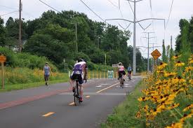 Dominion Energy Pauses W&OD Trail Tree Cutting After Community Complaints