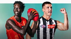 News source: afl.com.au