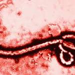  Ebola Is Back And World Health Officials Are Racing To Stop Another Catastrophe