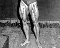 Arnold Schwarzenegger bodybuilder