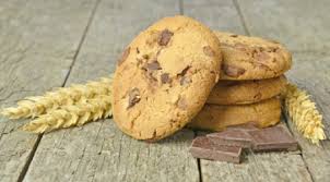 Резултат слика за wellnes keks sa knjigom