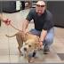 Wounded dog reunited with Jacksonville officer after surgery