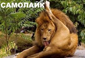 Нефть марки Brent упала в цене до менее 52 долларов - Цензор.НЕТ 9692