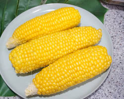 초당옥수수 전자레인지에 찌기 이미지
