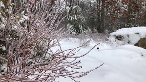 Winter Weather Predictions 2025-2026: What to Expect in Your Region