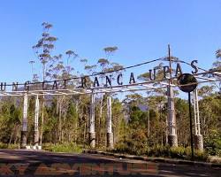 Image of Outbound training di Ranca Upas