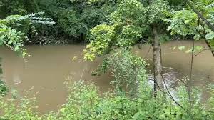 flood watch Picture