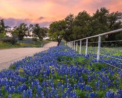 Image of Hill Country Landscape