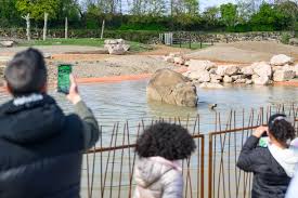 Delta des éléphants, l'avant-poste de Capenord... : revivez en images l'ouverture de la saison 2026 du PAL